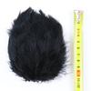 50Pcs Natural Black Goose Ostrich Feathers For Jewelry Earrings Making Diy Dream Catcher Decoration Crafts Plume Accessories