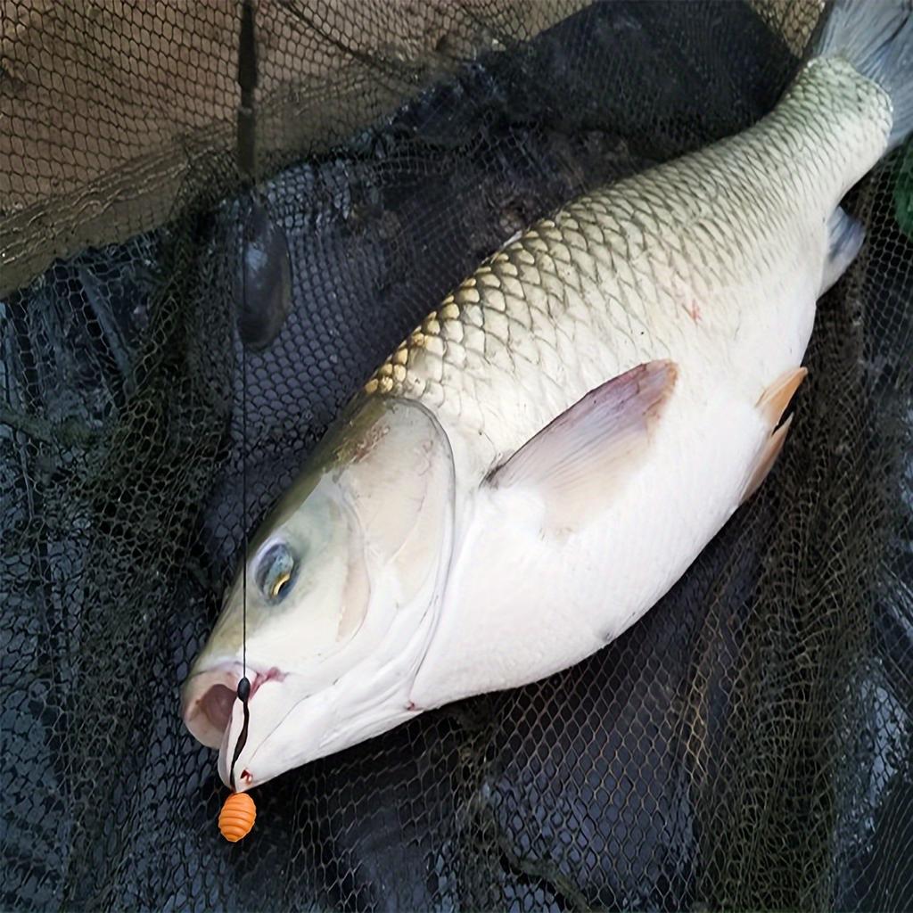 Colorful Worm Bait, PP Plastic, Floating Fish Lure, for Carp Fishing, Multi-Scent, Insect Shape, Fishing Tackle, Outdoor Sport,