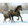 Frameless Digital Oil Painting for Entrance Hall - 40x50 Pigment Kit.