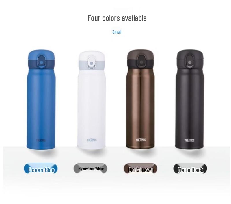 Thermos Stainless Steel Insulated Bottle 550ml