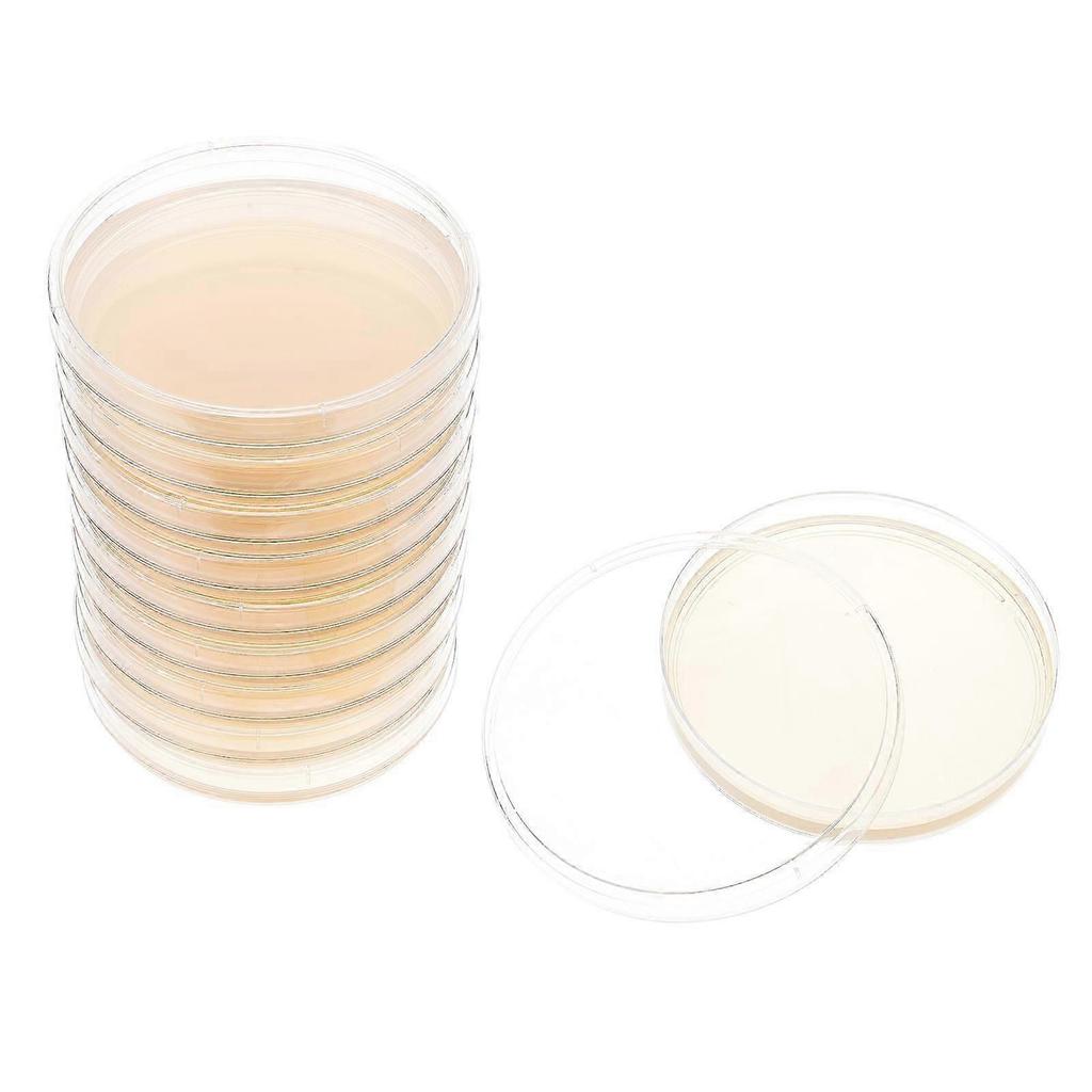 10 Stück vorgegossene Agarplatten Laborkulturplatten Petri-Schalen mit Agar Allgemeines Nährmedium