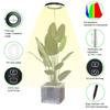 Plant Grow Light Floor Lamp Full Spectrum Sunlight Large Potted Plant Fill Light 3 9 12 Hours Timing 10 Levels Dimming