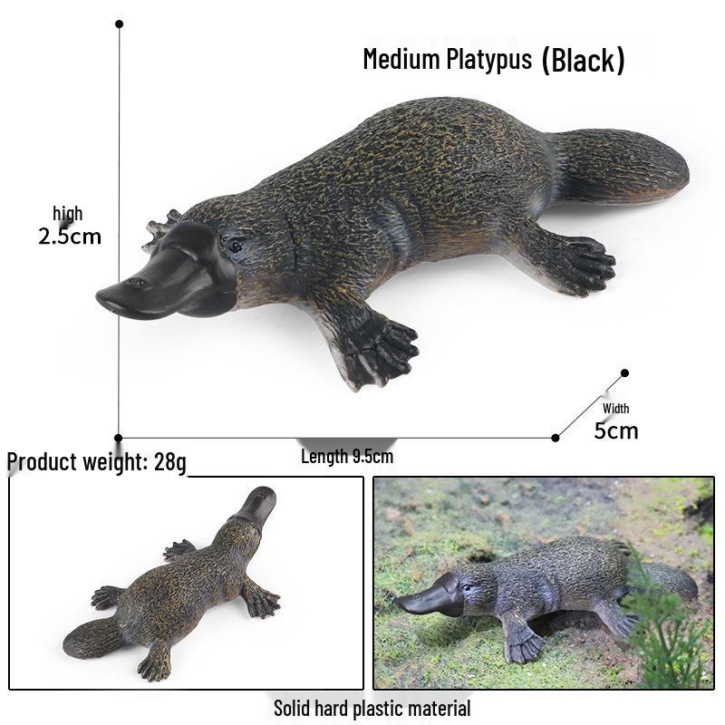 Australian Platypus Medium-Sized Children's Toy Model