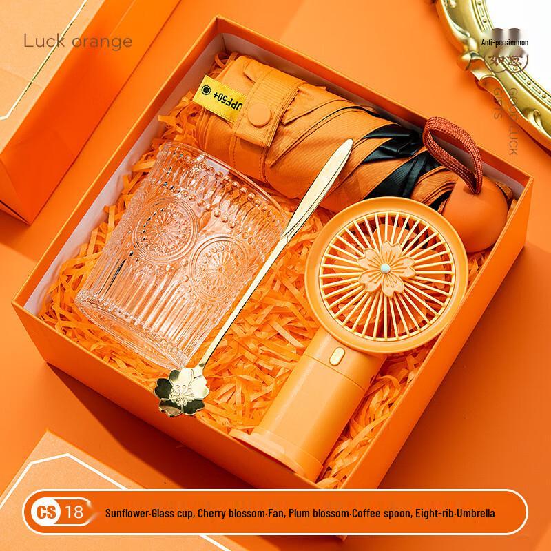 MRSIKEY Business Gift Set Insulated Glass Cup