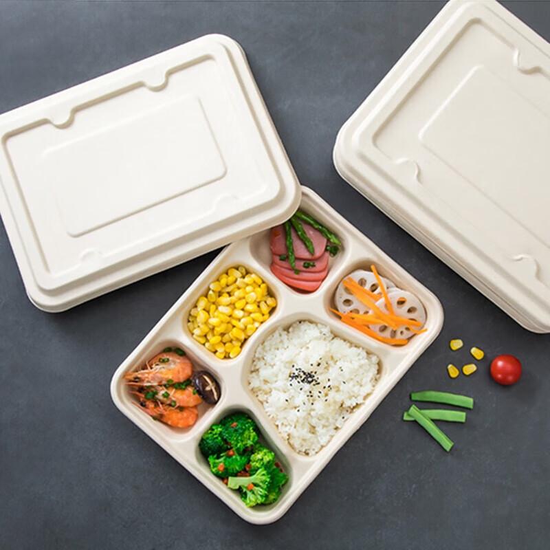 Baijie 6-Compartment Sugarcane Pulp Food Containers