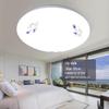 30cm Round LED Ceiling Light for Corridors, Bedrooms, Living Rooms, and Rental Spaces