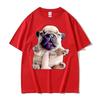 French Bulldog Funny Pibble Meme TShirts Unisex Summer Tops Kawaii Cute T Shirt Unisex High Quality 100 Cotton TShirt Streetwear