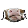 Animal Mask Funny Print Cotton Face Mask With Earloops For All Seasons