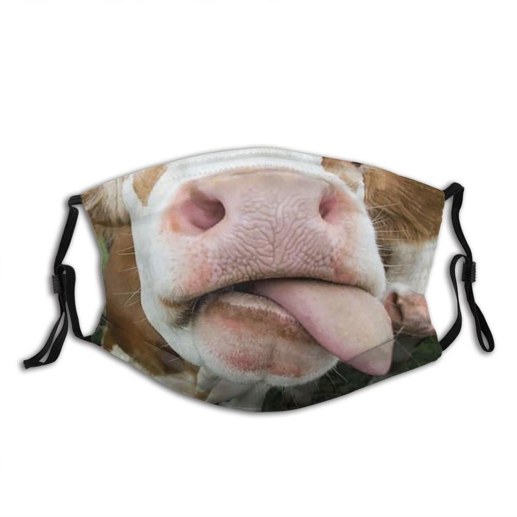 Animal Mask Funny Print Cotton Face Mask With Earloops For All Seasons