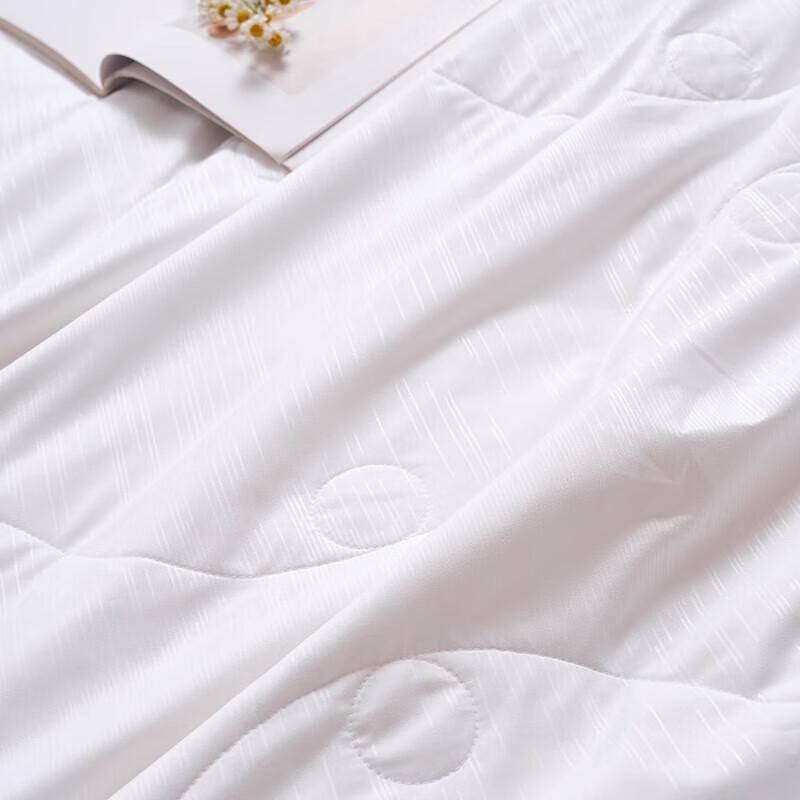 Fuanna Ya Yue Tussah Silk Summer Quilt