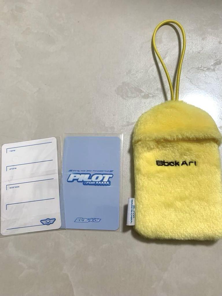 [USED] Stray Kids Felix Pogari Pilot Trading Card Case