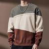 Men's Heavyweight Color-block Loose Fit Sweatshirt