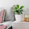 Plastic Round Flower Pots with Tray for Home Planters, Terrace, Garden Etc | Pack of 05 | White | Size 6.5 Inch | for Home Indoor & Outdoor
