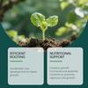 Plant Nutrient Liquid for Root Care Routines, Single Bottle Propagation Solution for Indoor Potted Care and Balcony Gardening Use Tasks