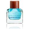 Parfum Homme - Hollister - Canyon Escape - Eau de Toilette - 100 ml - Unisexe