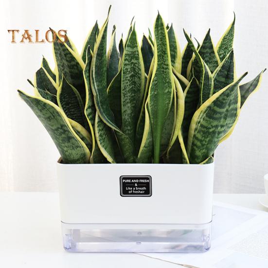 Self Watering Plant Pot with Drainage Holes High Strength Reusable Easy Care Visible Reservoir Indoor Outdoor Planter Pot Flower Vase