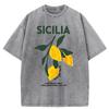 Amalfiküste Italien Zitrone Frucht Design Damen Gewaschene T-Shirts Y2K Lässiges T-Shirt Sommer Oberteil Baumwolle Locker Kurzarm