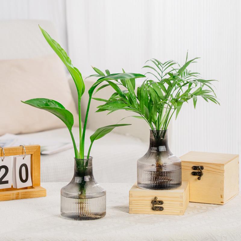 Mini Plastic Vase Modern Style Sample Transparent Vases Hydroponics Plant Flower Container Living Room Decor Table Ornaments