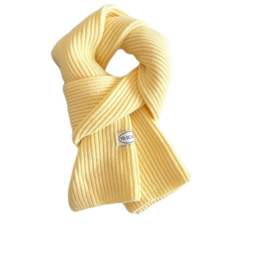 Autumn and Winter New Soft Knit Knit Groove Wool Scarf for Women, Korean Style Warm Yarn Solid Color Versatile Neck Warmer