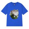 Funny Watermelon Cat Silly Cat Meme printed T Shirt 2025 New Men Women Oversized short sleeve T-shirts Unisex 100% Cotton Tops