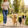 Nylon Double Head Dog Rope Shock Absorbing Double Headed Leash Two Dog Lead Rope Dog Walking