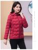 Damska Krótka Kurtka Puchowa - Lekka, Pogrubiona, Ciepła, Bawełniana Kurtka w Stylu Koreańskim