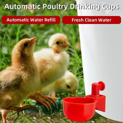 Κοτόπουλο Drinking Cup Automatic Drinker Chicken Feeder Πλαστικό Poultry Waterer Τροφοδότης πόσιμου νερού για νεοσσούς Duck Goose Quail