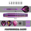 Lavishio Professional Soft Tip Dart Set 19g with 12 Plastic Dart Tips Flights and Shafts Multicolored