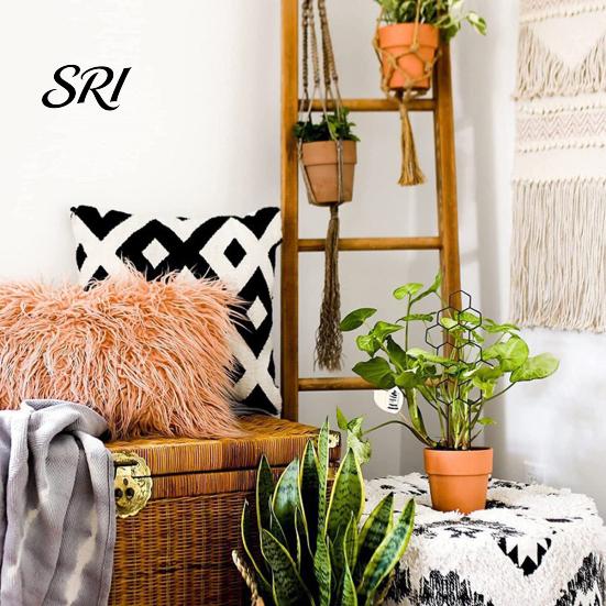 Heavy Duty Garden Trellis Plant for Climbing Plants Rustproof Planter Decorative Flowers Support Potted Monstera Ivy Pothos Flower Vine Growth