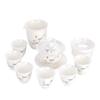 Tuopai Suet Jade Porcelain 10-Piece Ceramic Tea Set