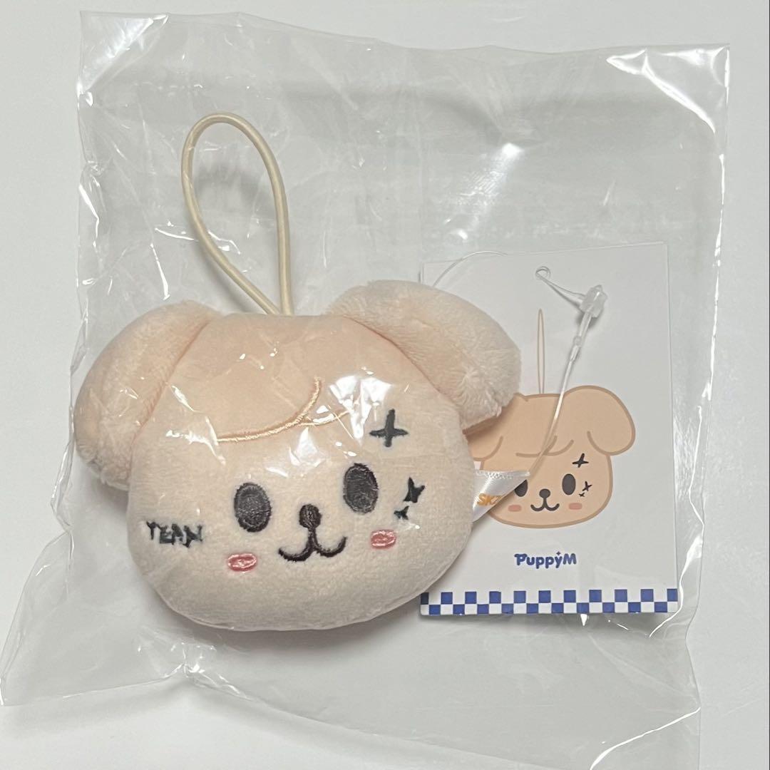 

[Б/У] Stray Kids SKZOO Именной бейдж Поп-ап Skiz Щенок