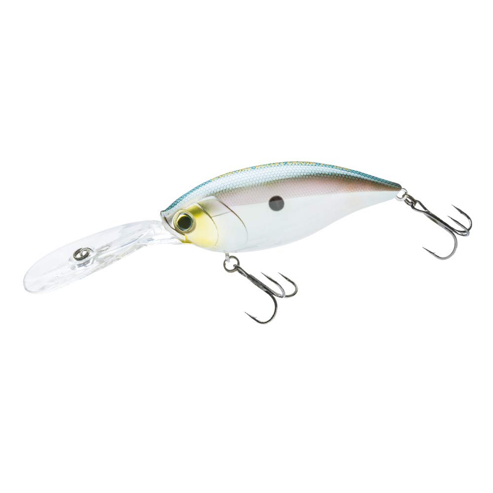 

DUEL Hardcore Bullet Crank 100F Crankbait Saltwater Sea 100mm Green Gizzard Shad 7+ [Fishing Tackle, Fishing, Freshwater, Bass] R1422-GGZS 05