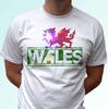 Wales White Kids Boys T-Shirt Flag Cymru Design Top Art Gift Tee S S Kids Sizes