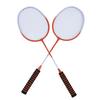 Badminton Set Professional Alloy Badminton Racket with 3 Shuttlecocks Carrying Bag for Beginner