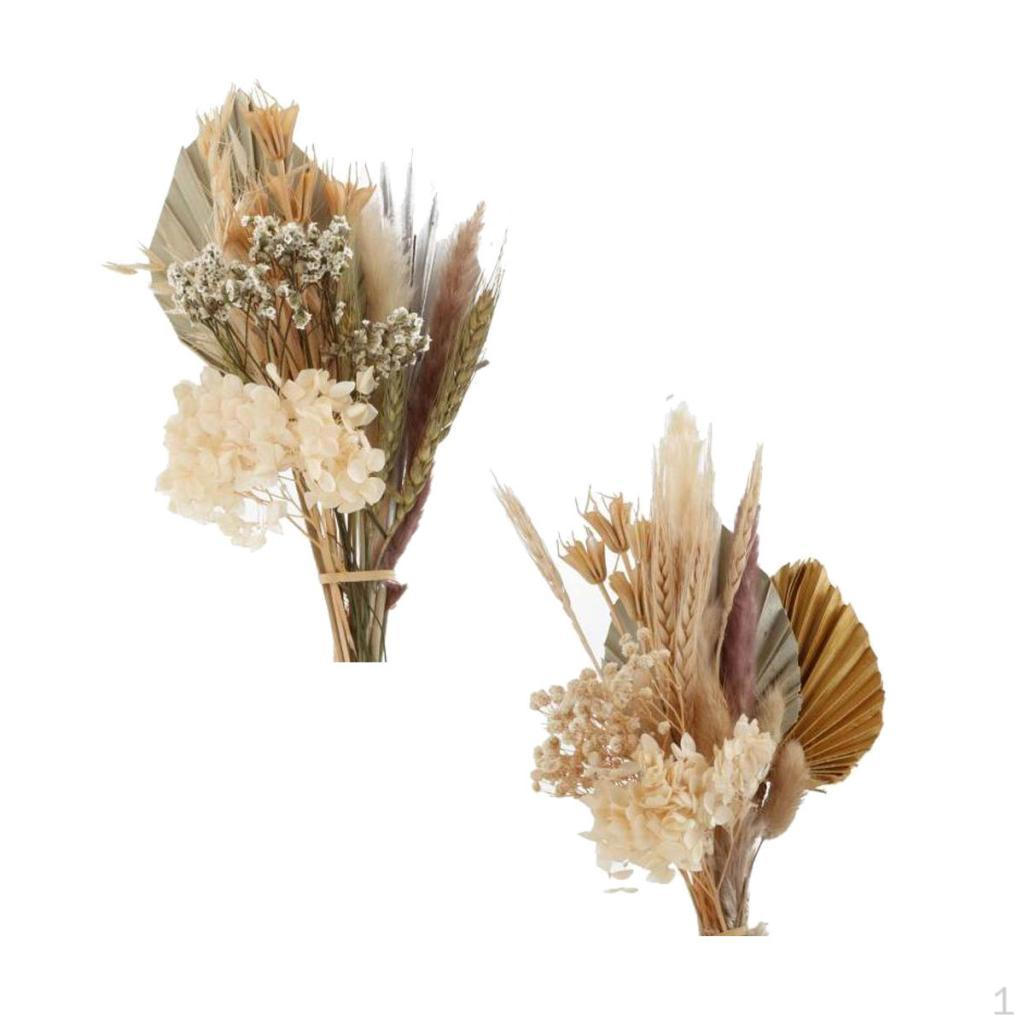 

2 Пальмы с высушенными на воздухе бохо-украшениями