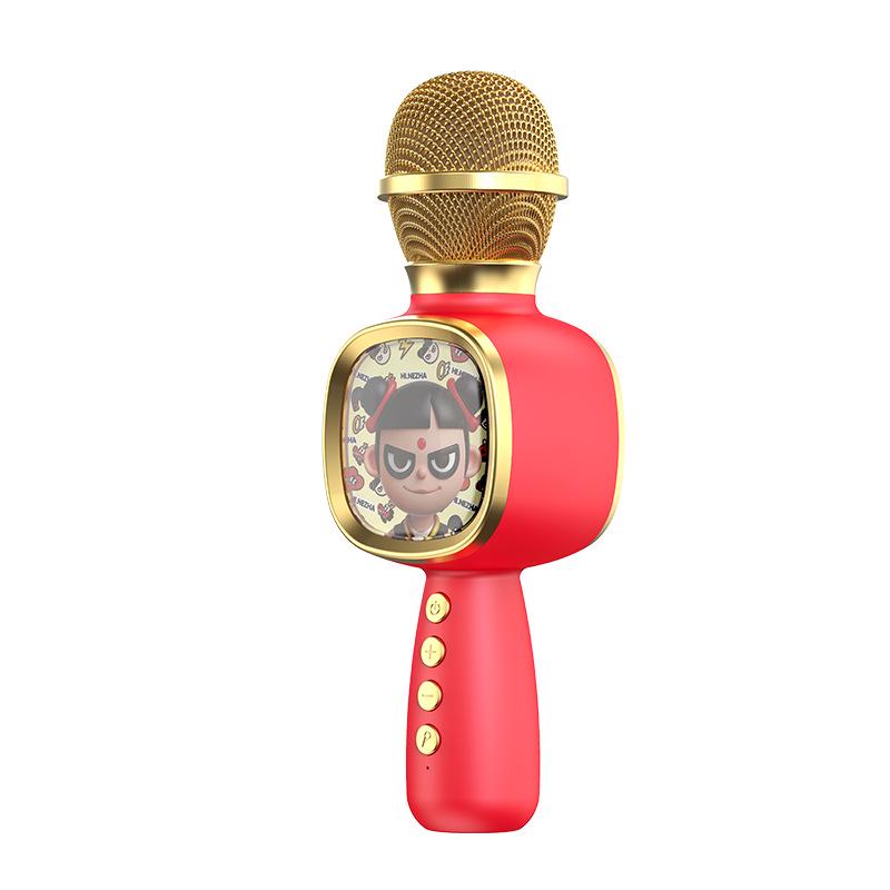 

Children s Bluetooth Karaoke Mic & Speaker - Toddler Songs, Stories & Education