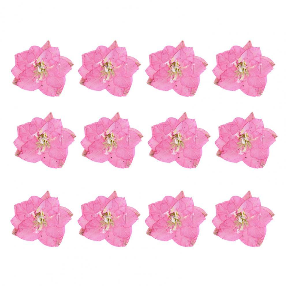 12Pcs Flowers Decoration High Imitation Bright Color Dried Flowers Dried Pressed Flowers for Nail Sticker Floral Decors