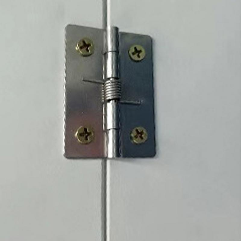 Selbstschließendes Federband Edelstahltürscharniere Automatisches Schließen Positionierungsschrankscharnier Möbelbeschläge Zubehör