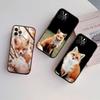 RE31 fox cute New High-End Shell Phone Case for Xiaomi Poco C40 C50 C51 C55 C65 C71 C75 F3 F5 F6 F7 M2 M3 Pro Ultra