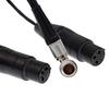 Cables XLR Breakout Audio Input Cable for Atomos Shogun Monitor Right Angle To Dual XLR Female Alvin's Recorder, 10-pin 3-pin