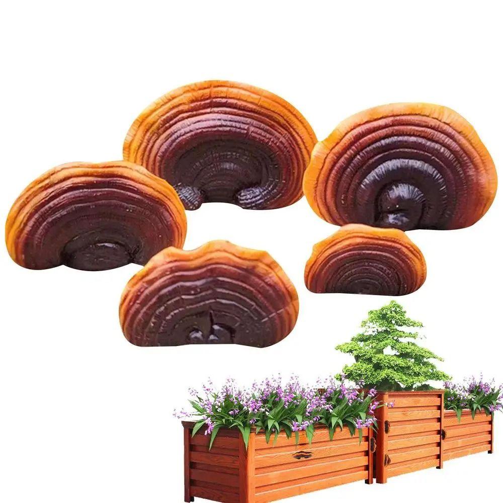 

5 шт./набор из смоляных грибов-деревьев Hugger Mini Ganoderma Фигурки для украшения дома, кухни, спальни