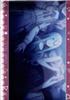 MOVIC Project SEKAI COLORFUL Project Sekai Colorful Stage Hatsune Miku Compatible Clear File Yoizaki STAGE! Feat. Vol.16 Kanade1