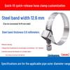 Expanded German-Style Quick-Release 304 Stainless Steel Hose Clamp