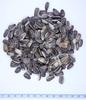 Pet Pro Pet Pro Sunflower Seeds 1.5kg