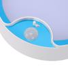 Motion Sensor Ceiling Light Battery Powered Night Light LED Wall Lamp for Hallway Bathroom Bedroom