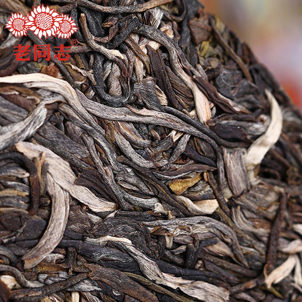 Haiwan 2019 Sheng Puerh "Zhu Yuan Yu Run" Raw Puerh 400g