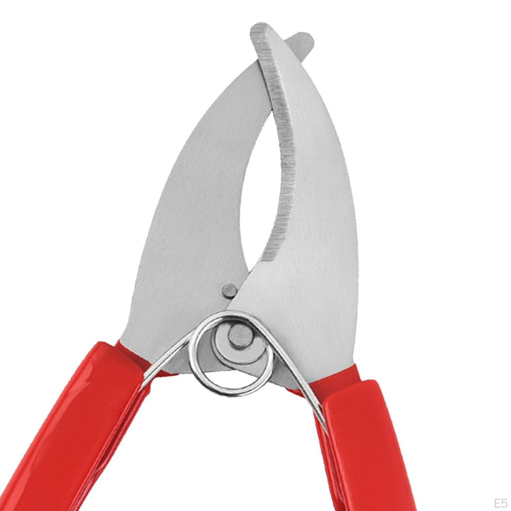 -Bell , Scissors, Garden, Tree, Cutting And Peeling Shears for Orchards