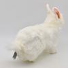 Snow Hare No.4671