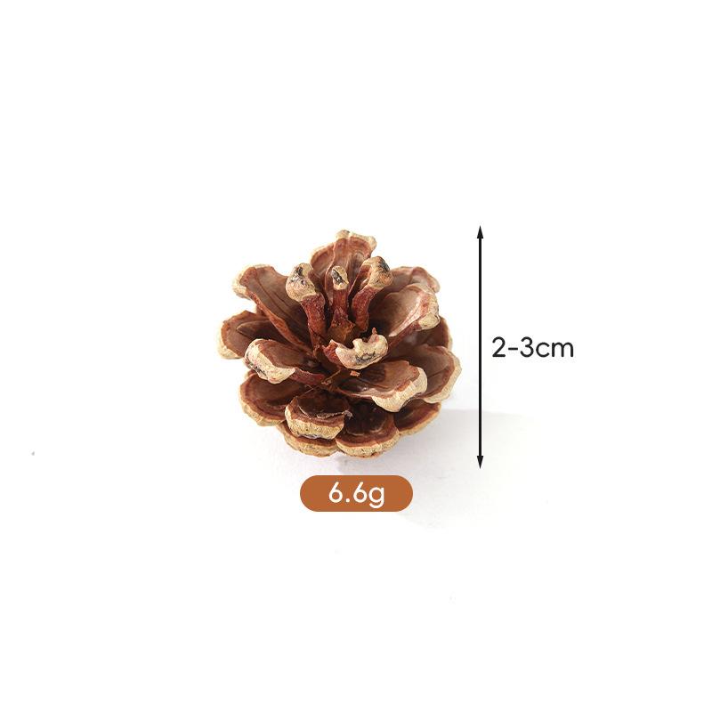 Conuri de Pin pentru Decorațiuni de Crăciun 1-18CM: Figurine creative și accesorii pentru fotografie