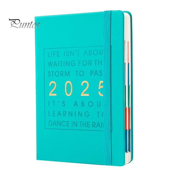 

Ежедневник-планировщик 2025 года. Комплексный ежедневник. Ежемесячный обзор. Планировщик ежедневной производительности. мятный зеленый